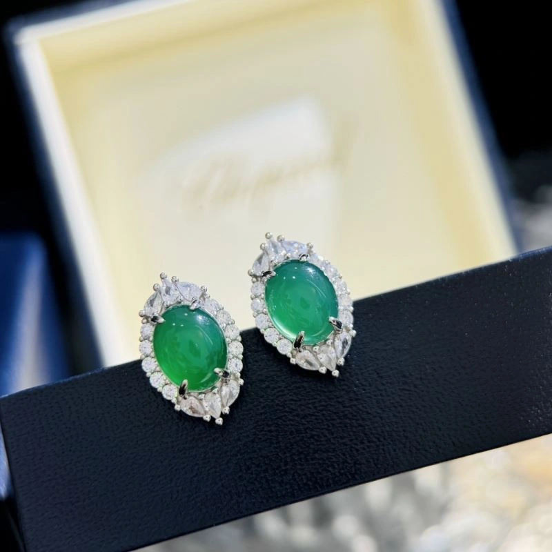 NewStyle Unclassified Brand Earrings 213340