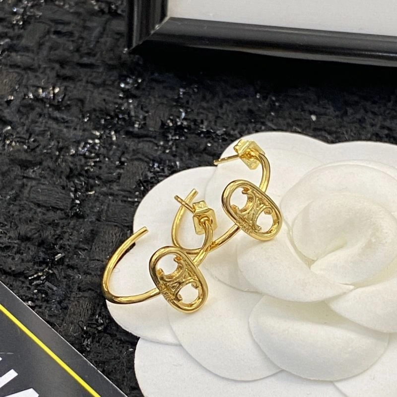 RelaxedFit Unclassified Brand Earrings 213324
