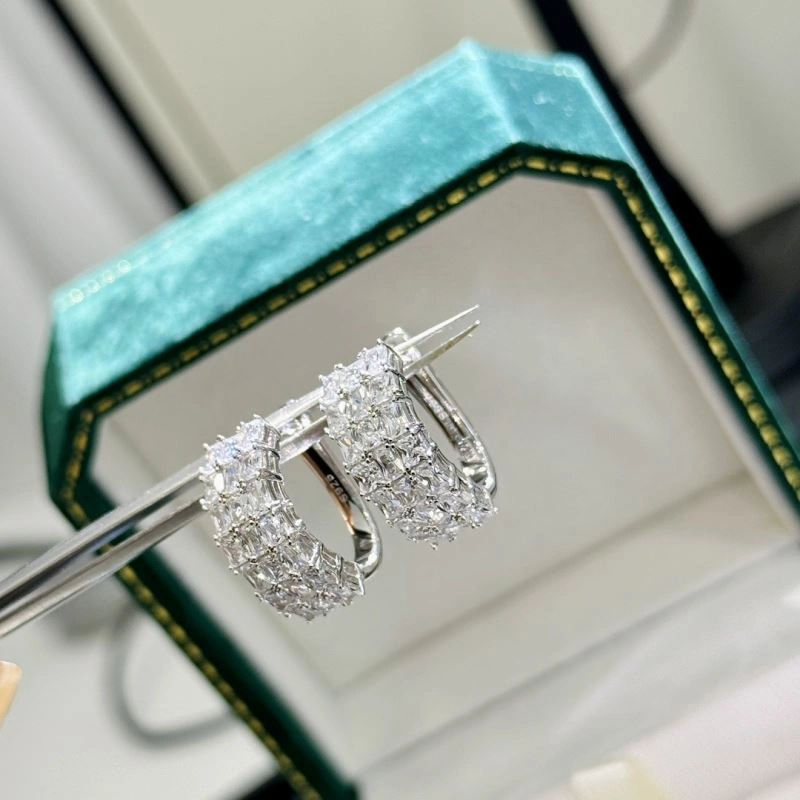 Breathable Unclassified Brand Earrings 213322