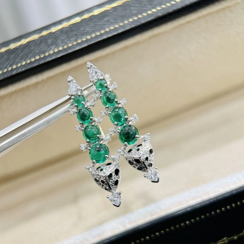 Upgraded Unclassified Brand Earrings 213302