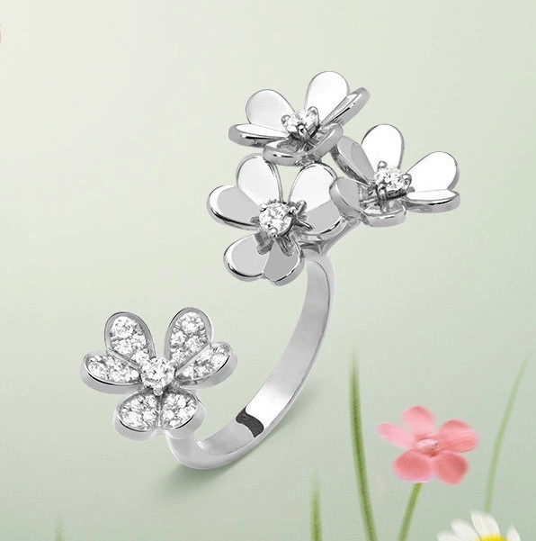 Stretchable Unclassified Brand Rings 213684