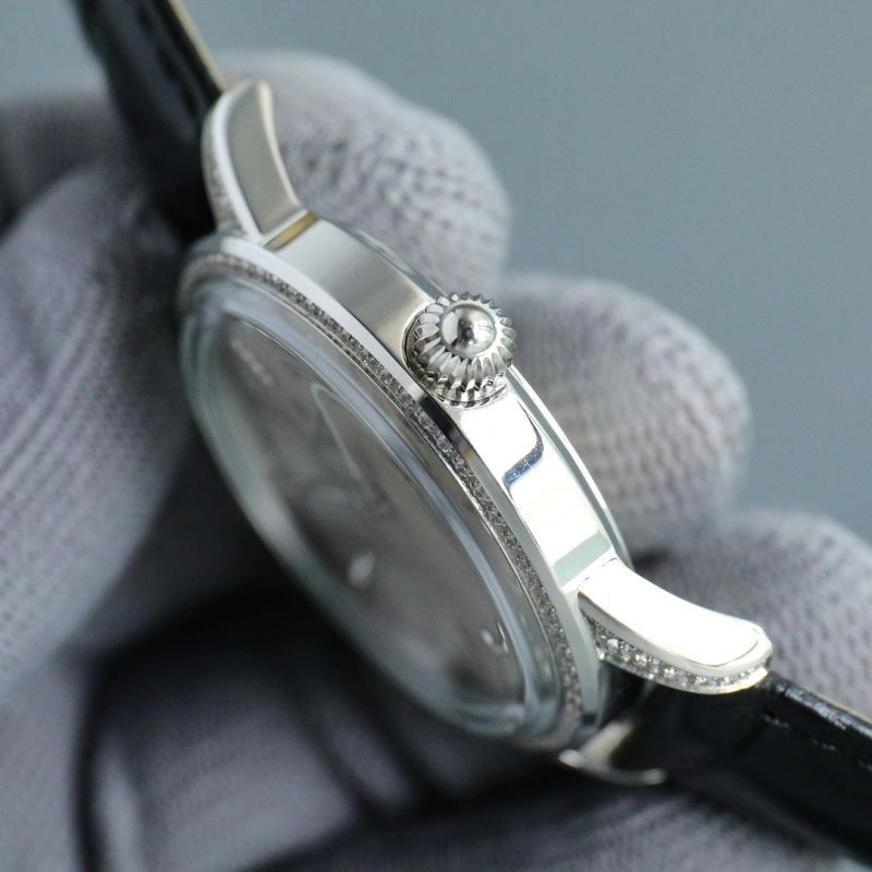 SunProtective VACHERON CONSTANTIN Watches 206702