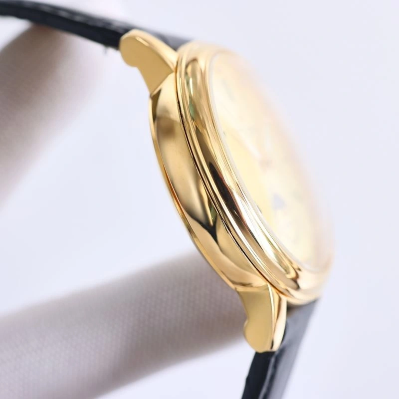 VACHERON CONSTANTIN Watches FlexibleFit 206059
