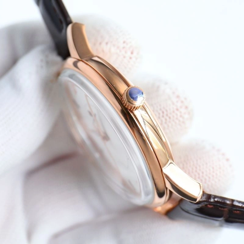 VACHERON CONSTANTIN Watches WeatherProof 206018