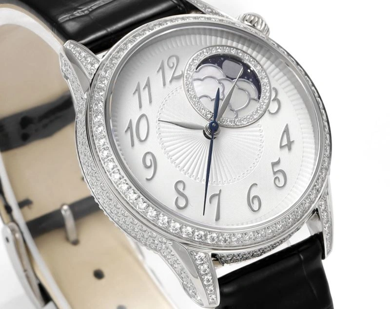 VACHERON CONSTANTIN Watches GoAnywhere 205476