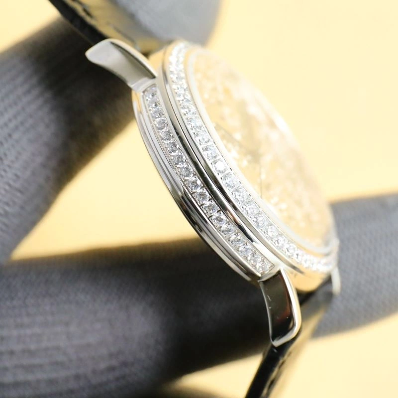 VACHERON CONSTANTIN Watches FastDry 205395