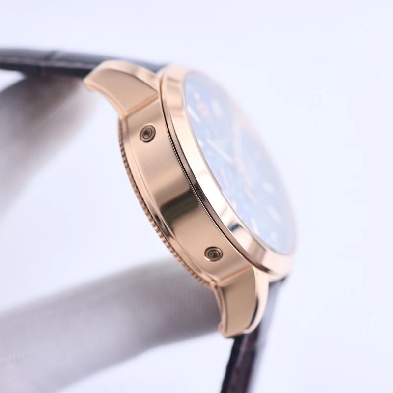 Packable VACHERON CONSTANTIN Watches 205376