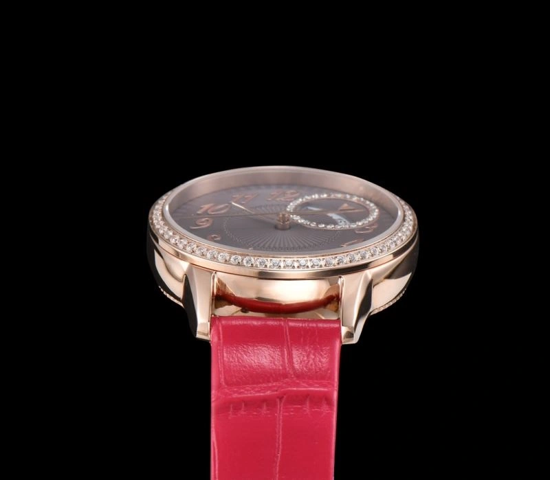 VACHERON CONSTANTIN Watches ZeroBulk 204870