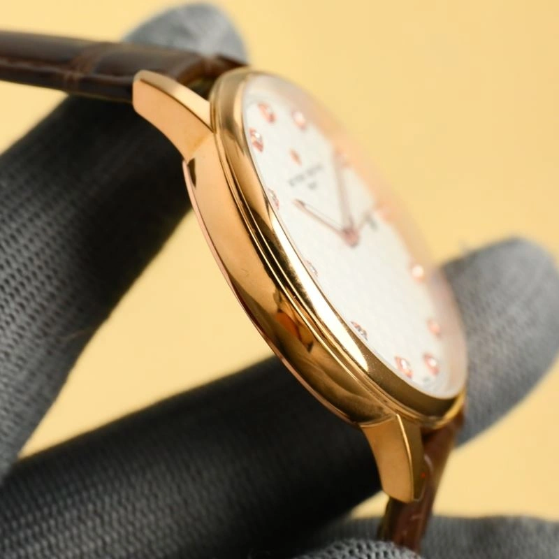 SunProtective VACHERON CONSTANTIN Watches 204768