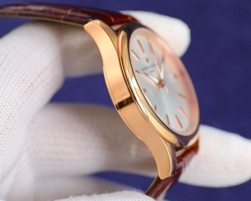 SunProtective VACHERON CONSTANTIN Watches 204533