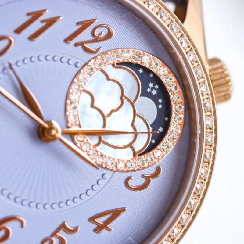 VACHERON CONSTANTIN Watches FastDry 204489