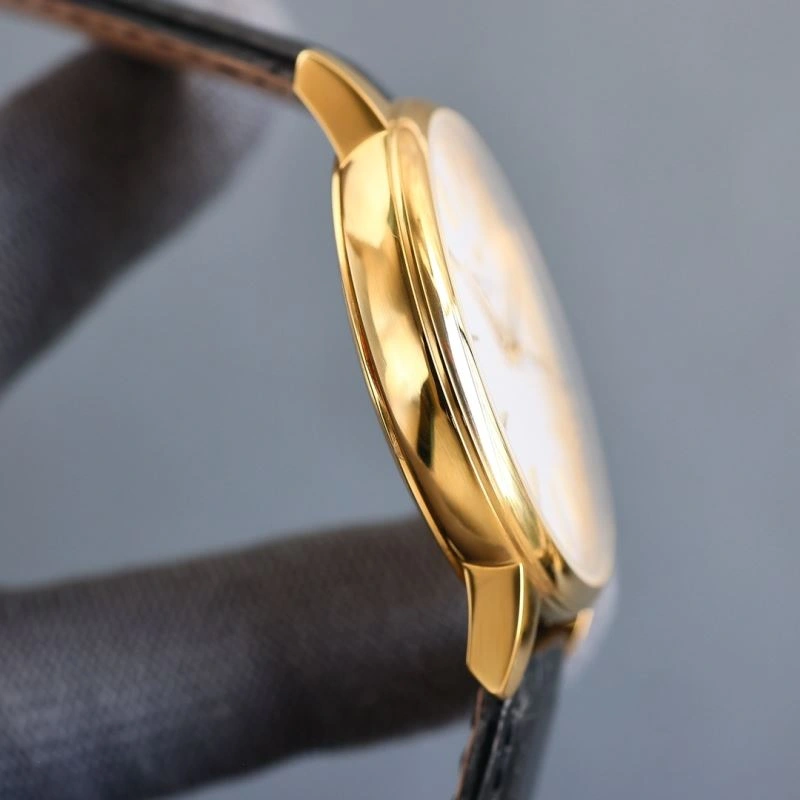 VACHERON CONSTANTIN Watches FlexibleFit 204266