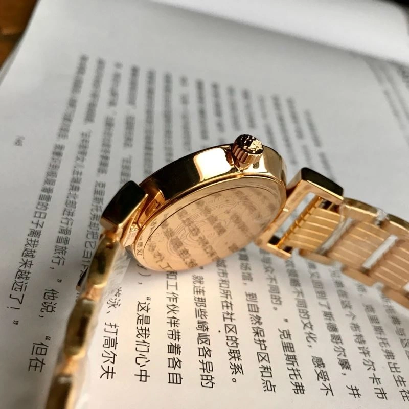 VERSACE Watches Stylish 207060