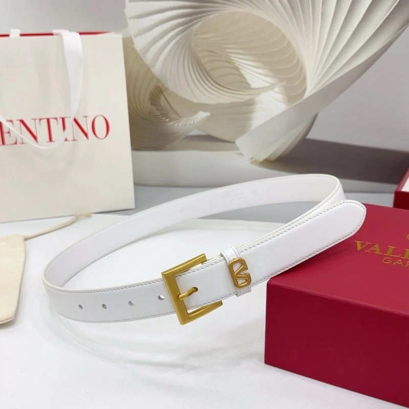Valentino Belts Neat 304166
