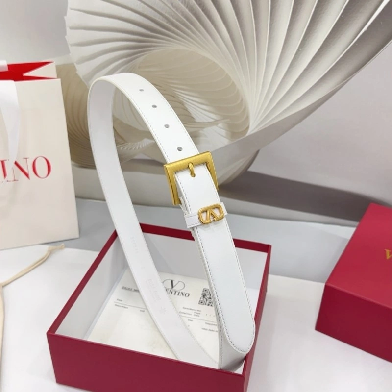 Valentino Belts Neat 304166
