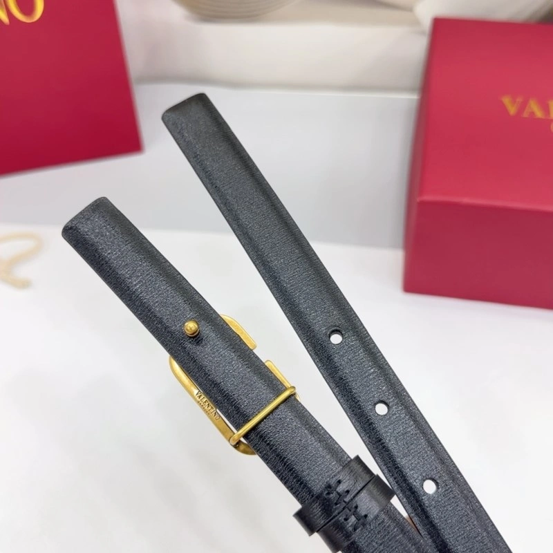 Cozy Valentino Belts 304182