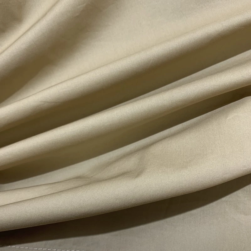 Trendsetting Valentino Dress Suits 174175