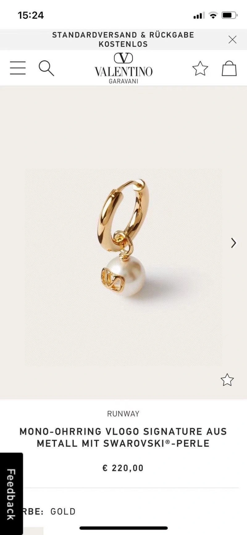 Valentino Earrings Sleek 213614