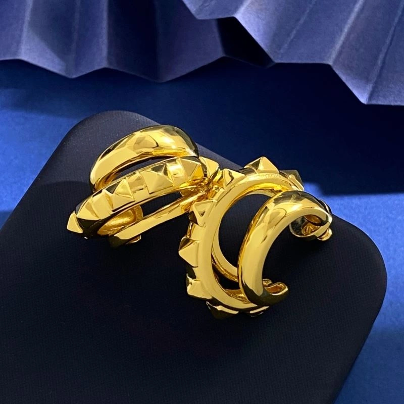 Valentino Earrings Affordable 213208