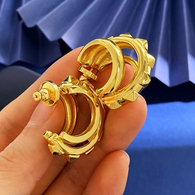 Valentino Earrings Affordable 213208