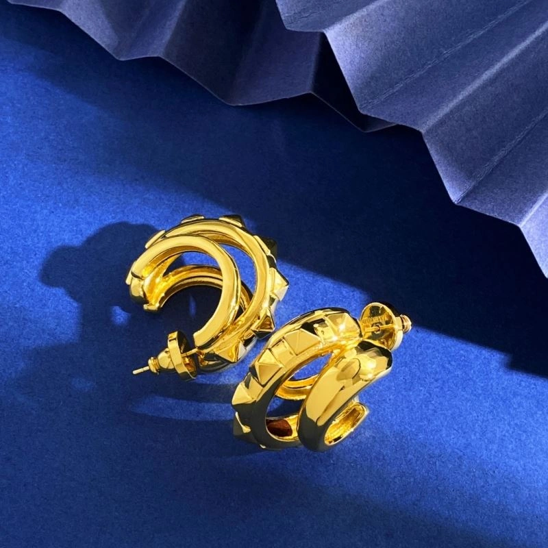 Valentino Earrings Affordable 213208