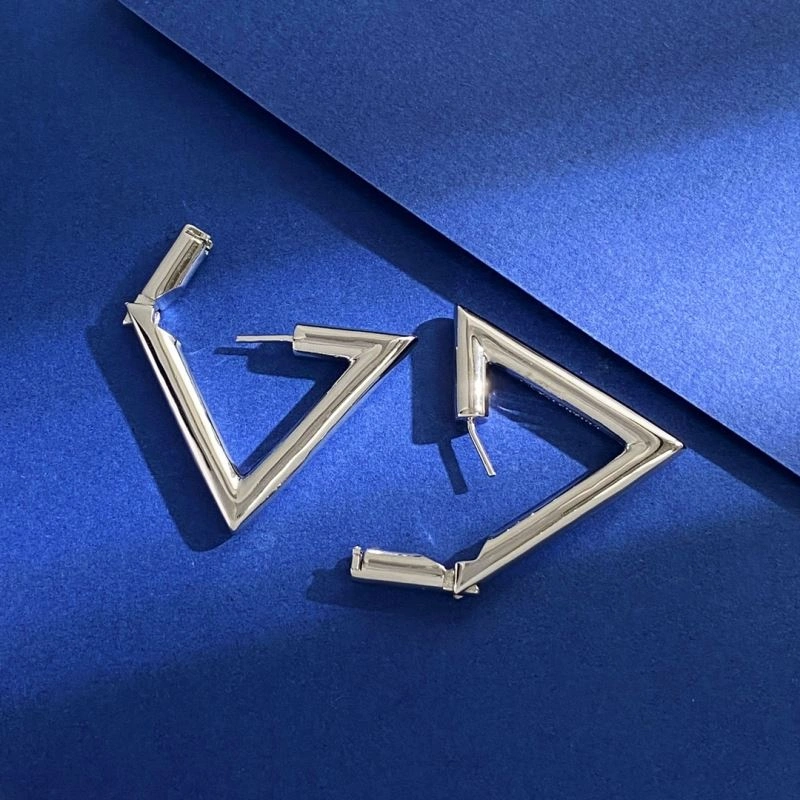 Efficient Valentino Earrings 213209