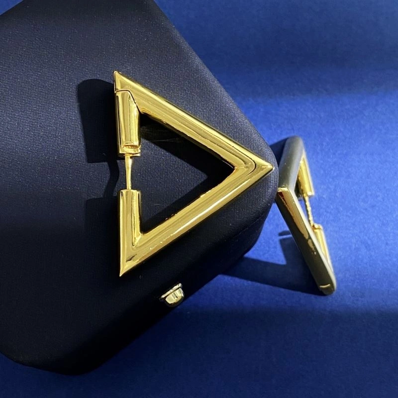 Efficient Valentino Earrings 213209