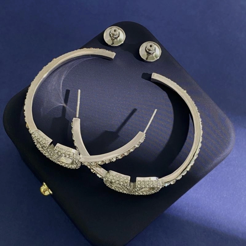 Valentino Earrings Reliable 214453