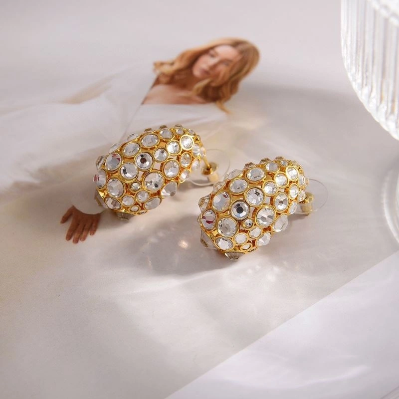 Sustainable Valentino Earrings 214090