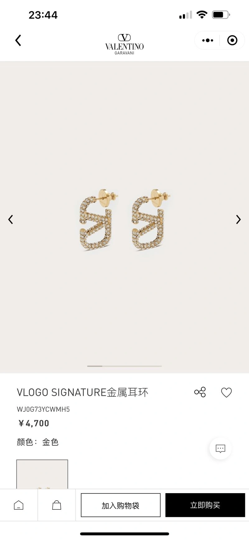 Sporty Valentino Earrings 212813