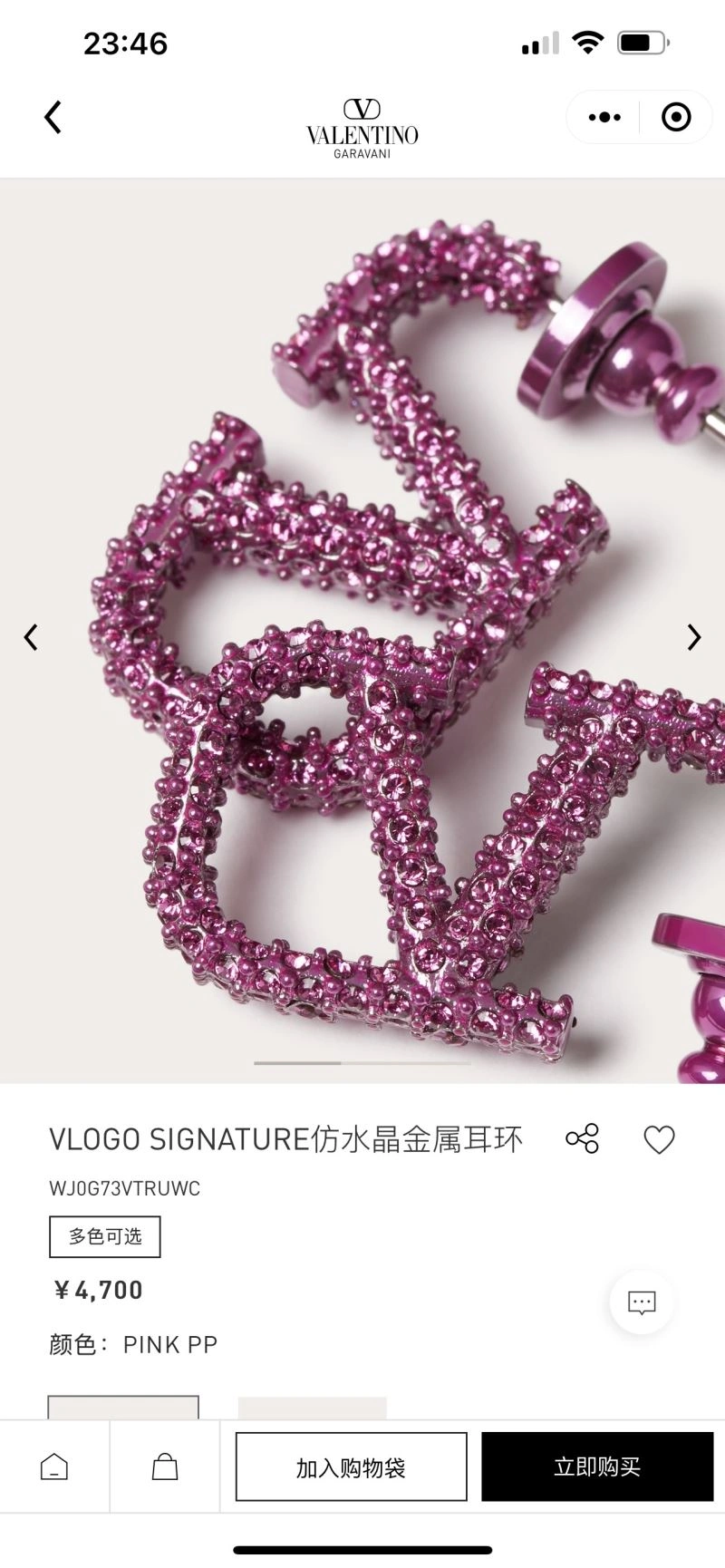 Valentino Earrings Cozy 212812