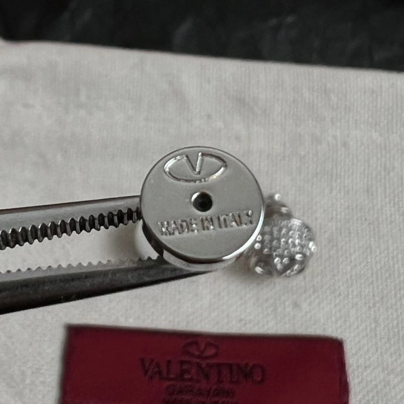 Valentino Earrings DailyWear 211662