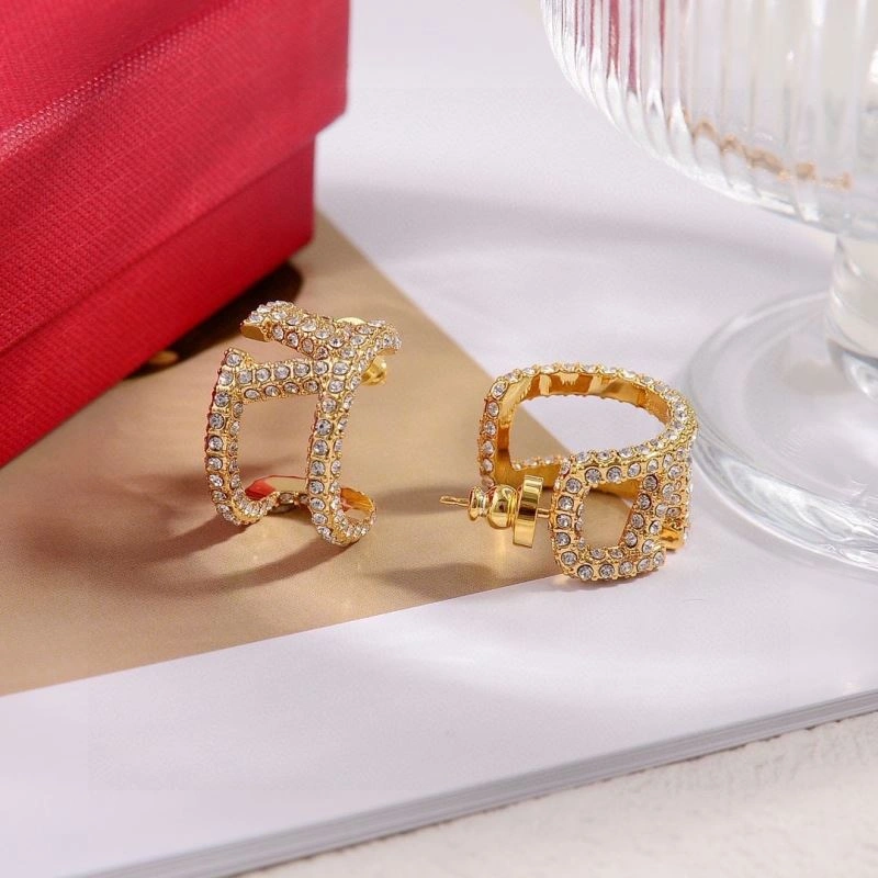 Valentino Earrings WrinkleFree 211654