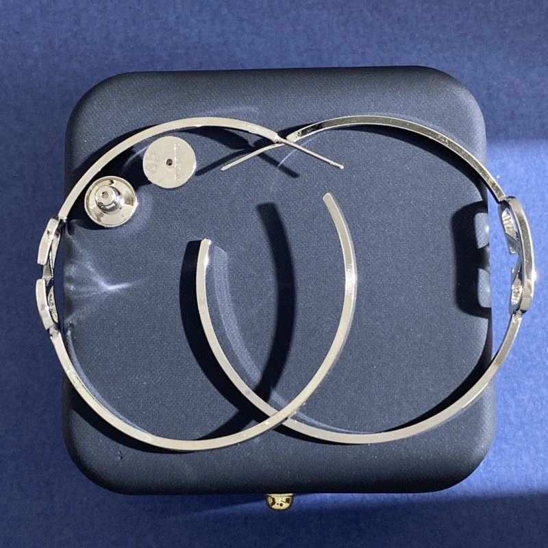 Valentino Earrings HighQuality 211651