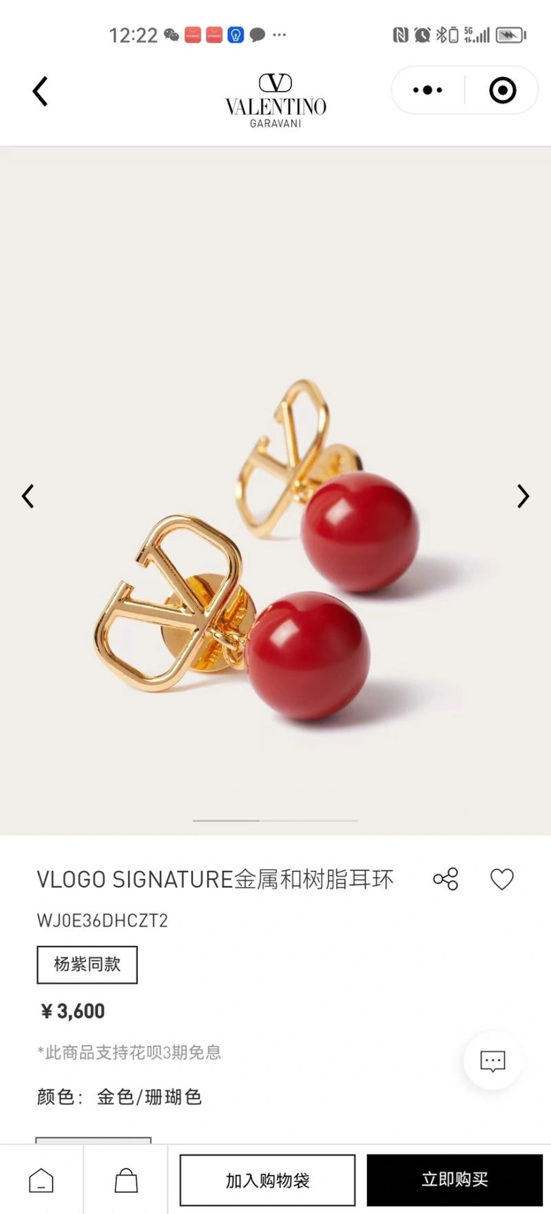 Valentino Earrings Supportive 211653