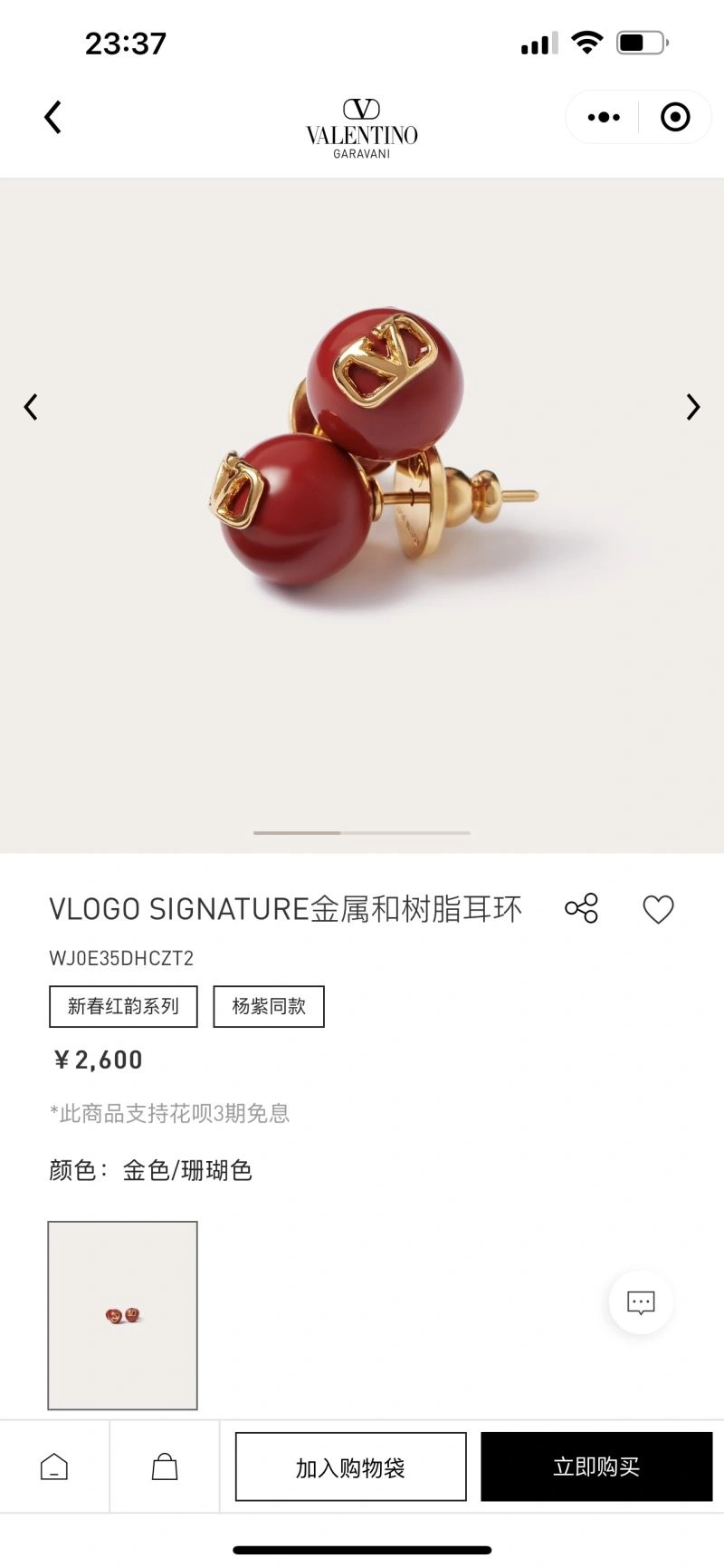 Valentino Earrings Unisex 211657