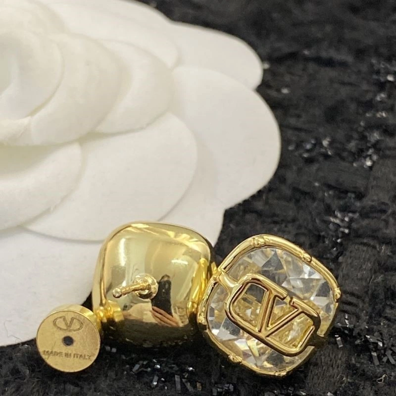 Sophisticated Valentino Earrings 210337