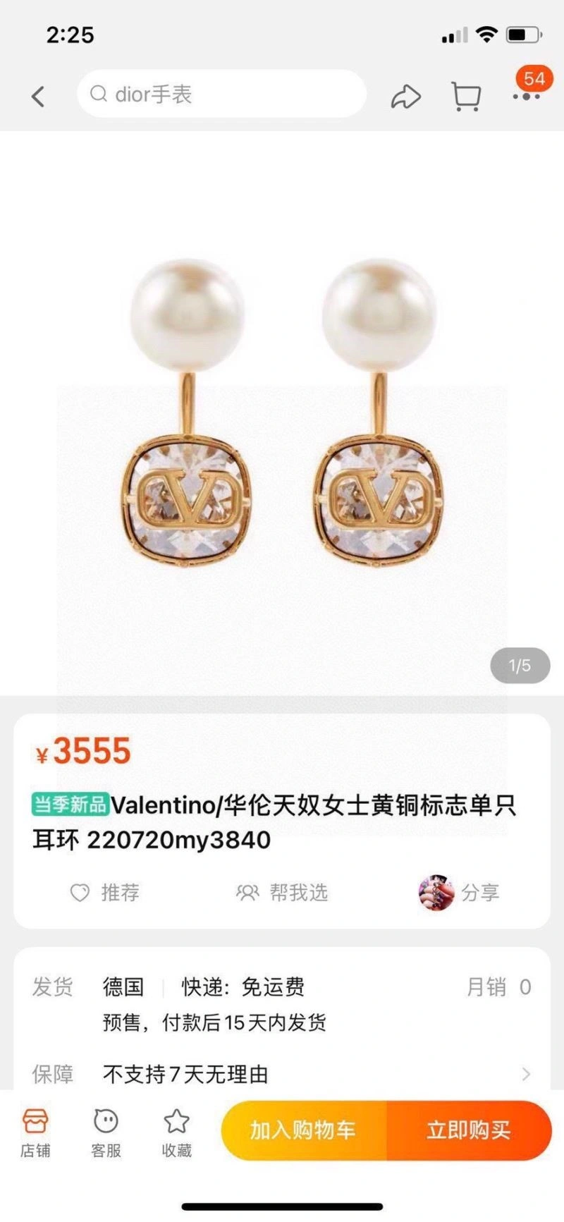 Valentino Earrings WrinkleFree 210465