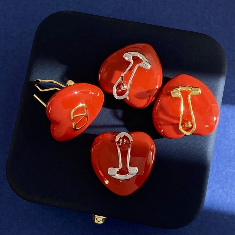 Fashionable Valentino Earrings 210327