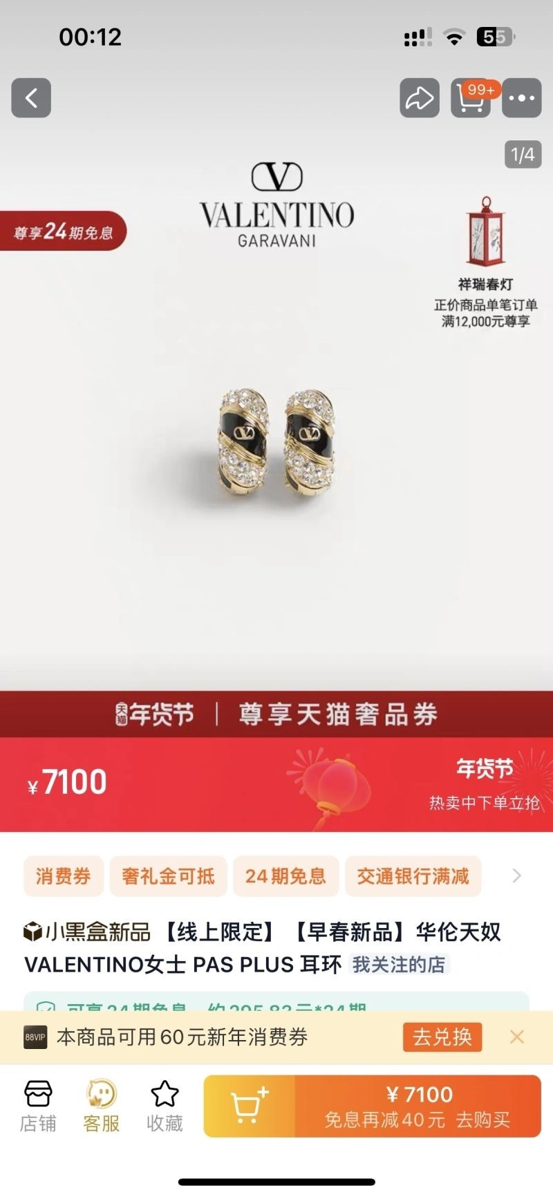 Minimalist Valentino Earrings 210324