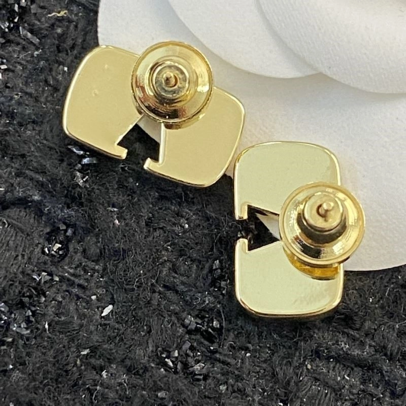 Unisex Valentino Earrings 210315