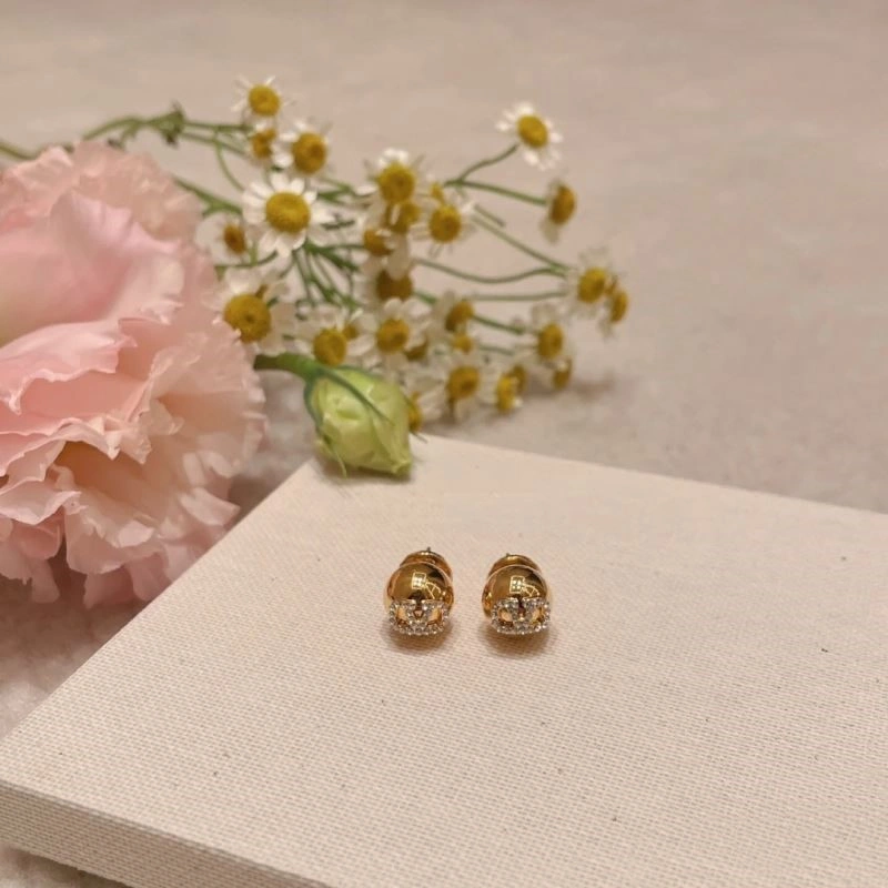 Lightweight Valentino Earrings 209644