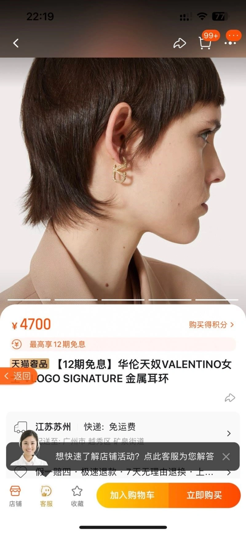 WrinkleFree Valentino Earrings 209086
