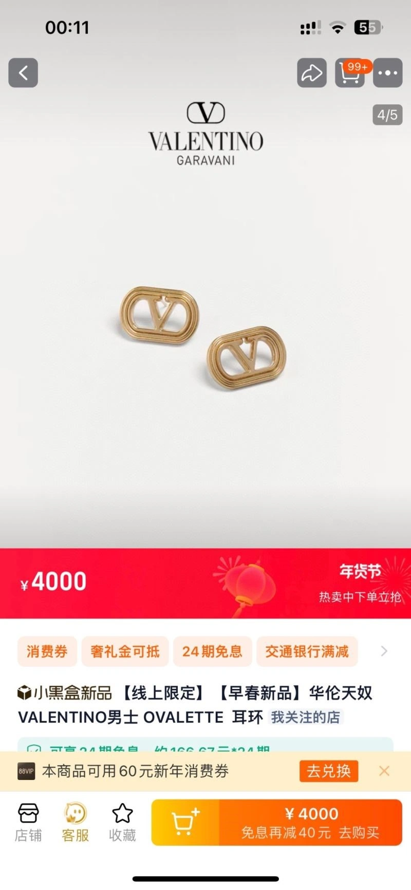 ZeroBulk Valentino Earrings 208423