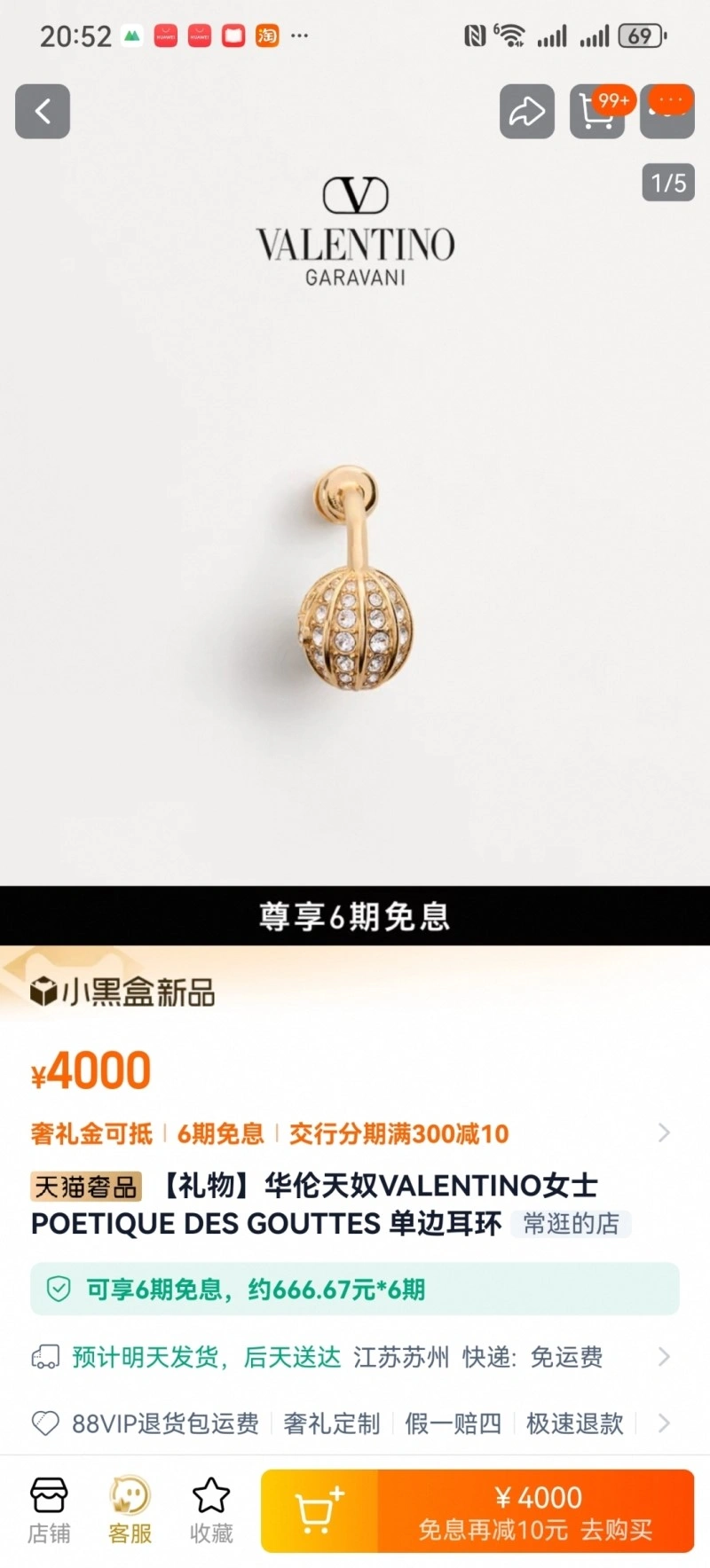 Valentino Earrings TechFriendly 207733