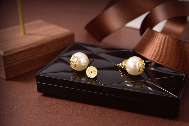 Valentino Earrings HighQuality 207721