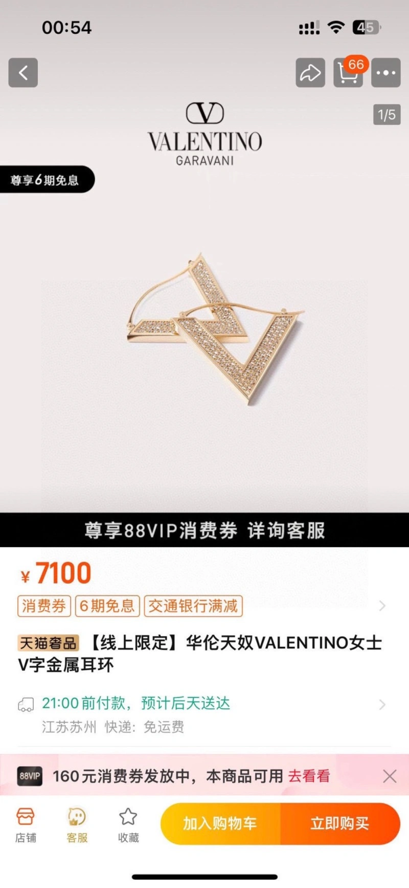 Valentino Earrings WeatherProof 207718