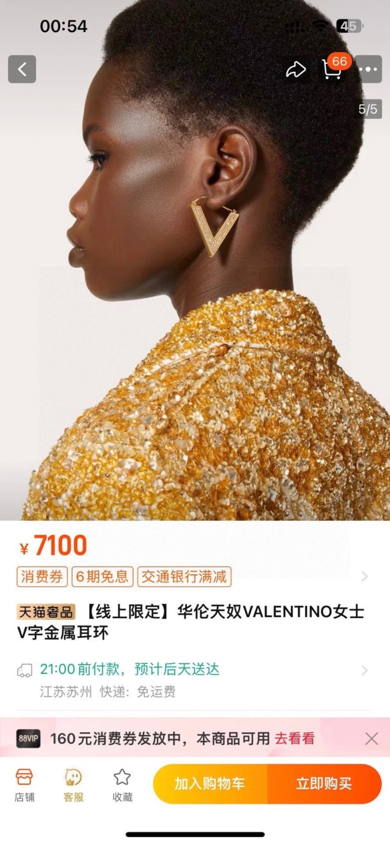 Valentino Earrings WeatherProof 207718