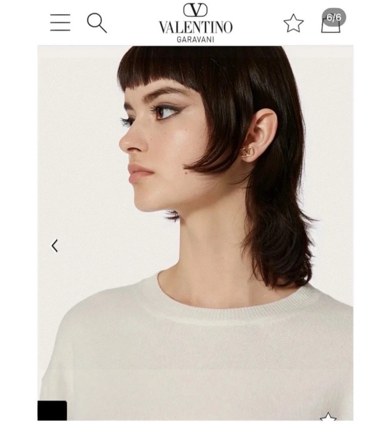 Colorful Valentino Earrings 207726