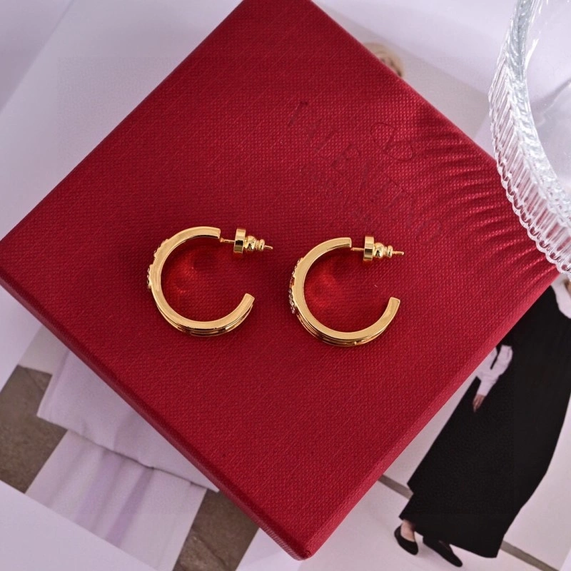 NewStyle Valentino Earrings 207709
